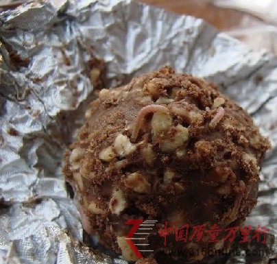 高價名牌巧克力費列羅被曝爬出蛆蟲