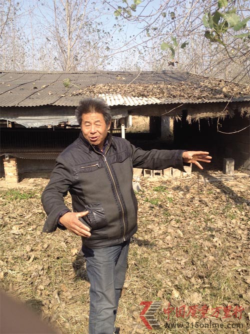 消失的鴨子——江蘇沛縣養鴨產業為何漸入蕭條
