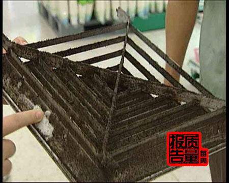 每周質量報告:都是空調惹的病病倒了世界冠軍