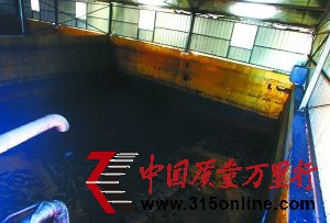 工人將運(yùn)到的地溝油導(dǎo)入原料池。