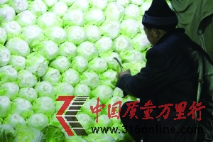 蔬菜長途運輸,如何保鮮是個問題 IC圖 蔬菜長途運輸,如何保鮮是個問題 IC圖