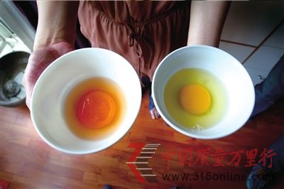 左為超市所購雞蛋,呈紅色,右為正常雞蛋,呈黃色。本報(bào)實(shí)習(xí)記者趙恩澤攝