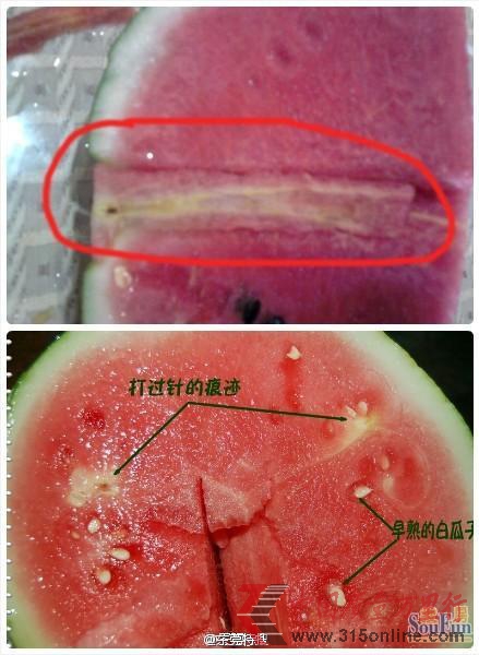 <b>網(wǎng)友所發(fā)疑似“打針西瓜”</b> <b>網(wǎng)友所發(fā)疑似“打針西瓜”</b>