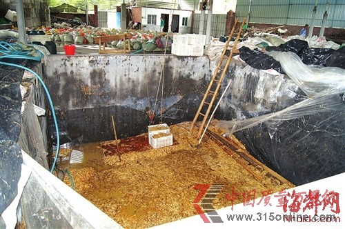 在這個數(shù)十平方米的大池子里,黑心商家用工業(yè)檸檬酸泡出了35噸金針菇 在這個數(shù)十平方米的大池子里,黑心商家用工業(yè)檸檬酸泡出了35噸金針菇