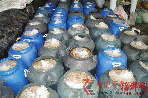 60多桶還在工業(yè)檸檬酸和鹽水中浸泡的金針菇 60多桶還在工業(yè)檸檬酸和鹽水中浸泡的金針菇