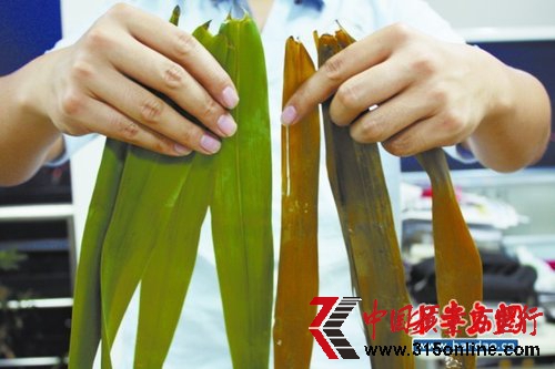 “天價粽”扮高貴搶眼球“平民粽”玩瘦身暗漲價