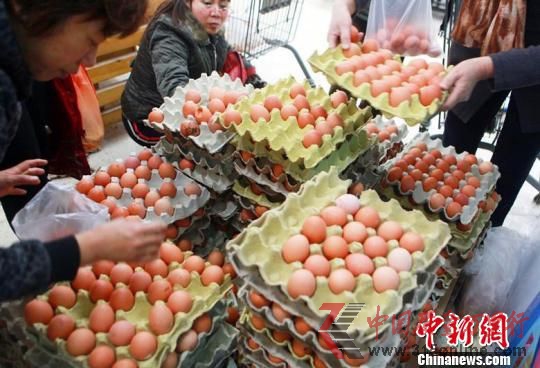 資料圖:購(gòu)買雞蛋的市民。 韋亮 攝