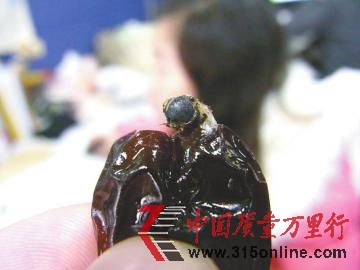 市民從棗子里吃出的蟲(chóng)子。(圖中圓圈處)